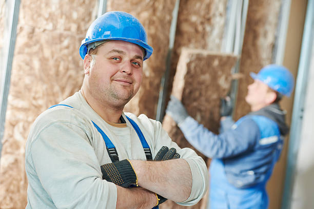 Best Cellulose Insulation in Ypsilanti, MI